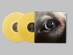 DSOTM Redux Gold 2LP