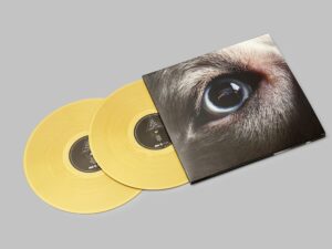 DSOTM Redux Gold 2LP